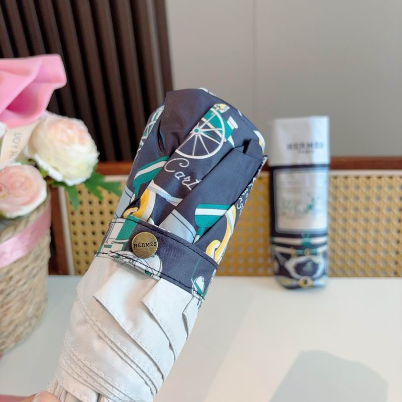Hermes Umbrella (856)