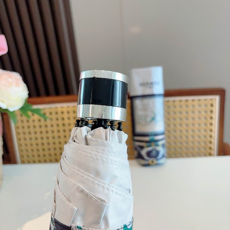 Hermes Umbrella (857)