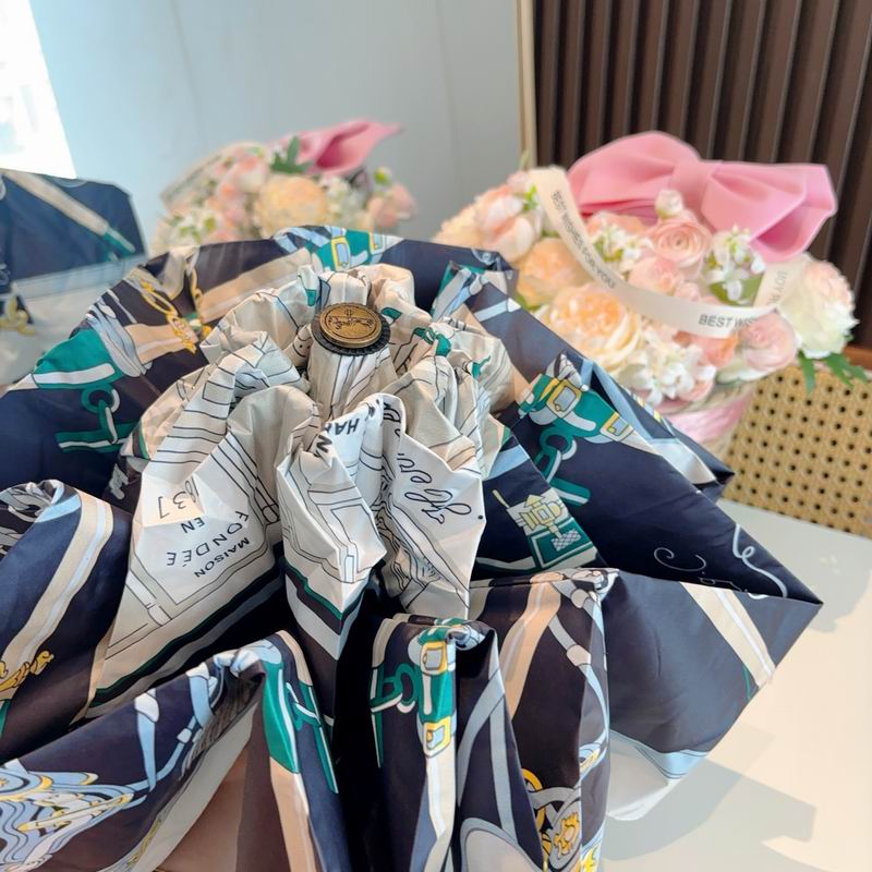 Hermes Umbrella (858)