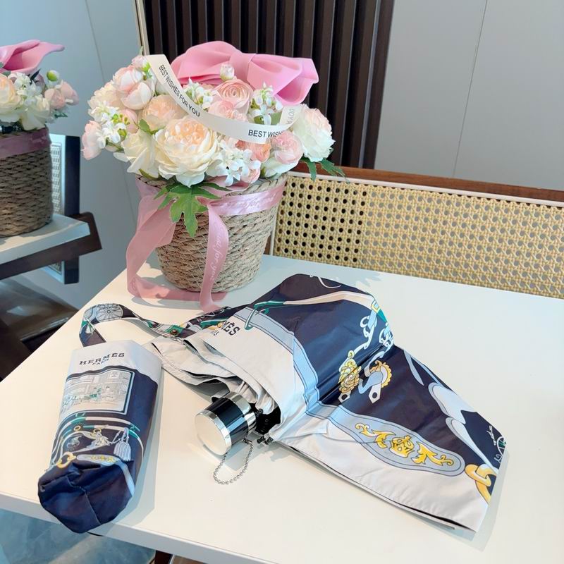 Hermes Umbrella (859)