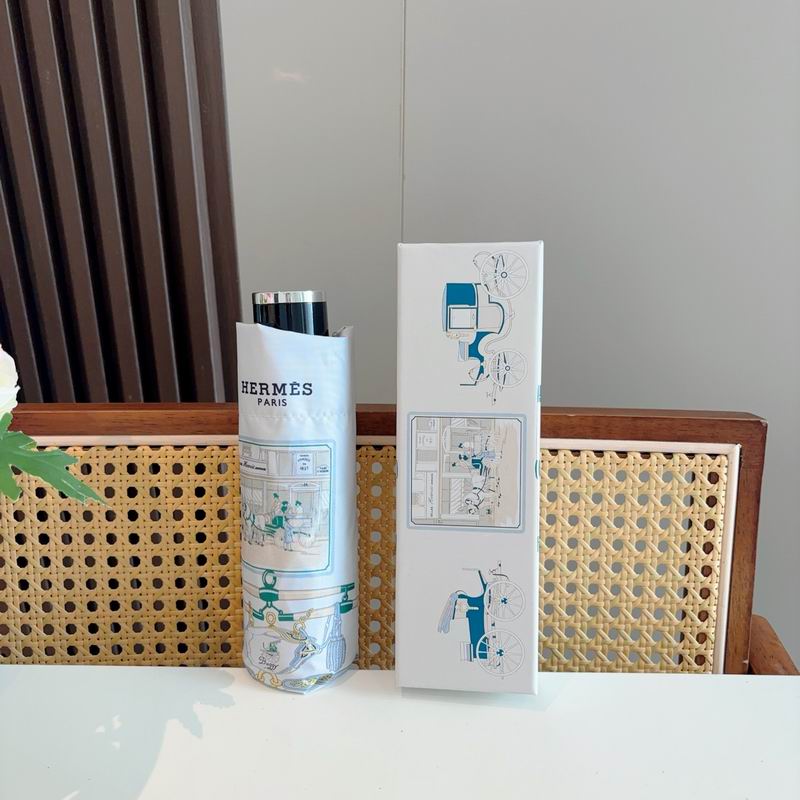 Hermes Umbrella (864)