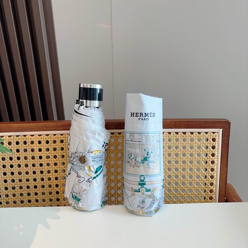 Hermes Umbrella (865)