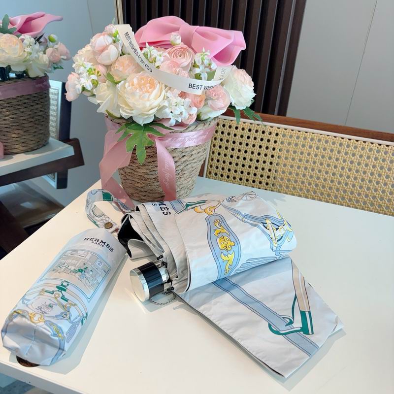 Hermes Umbrella (868)
