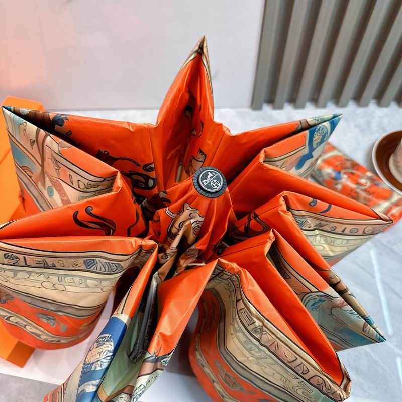 Hermes Umbrella (87)