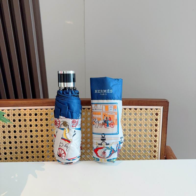 Hermes Umbrella (873)
