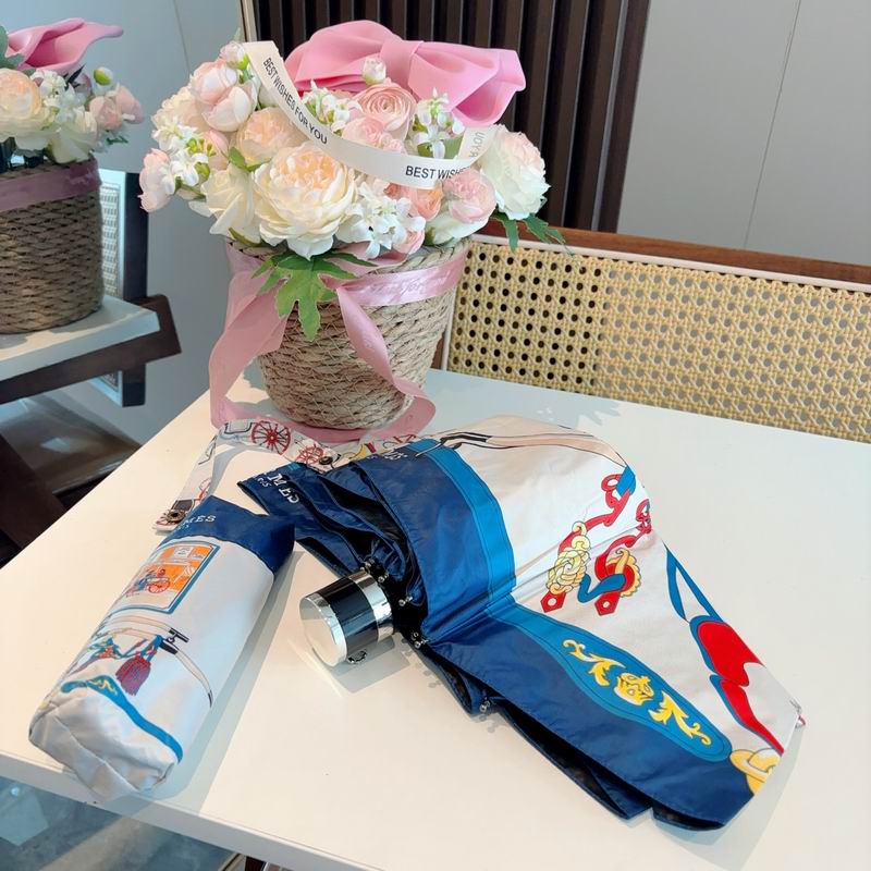 Hermes Umbrella (877)