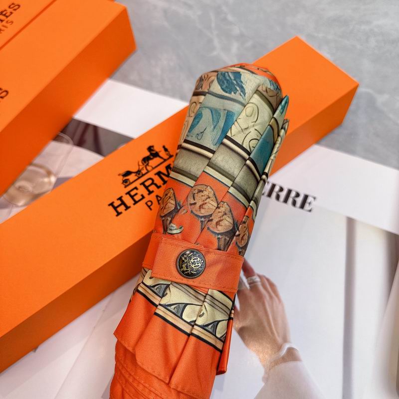 Hermes Umbrella (88)