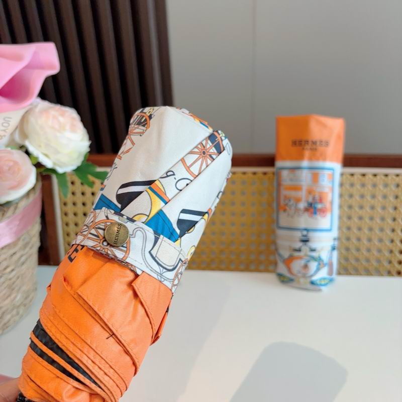 Hermes Umbrella (883)