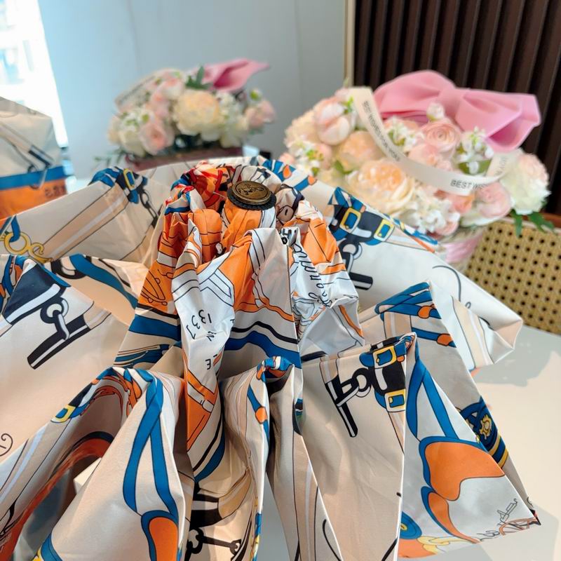 Hermes Umbrella (885)