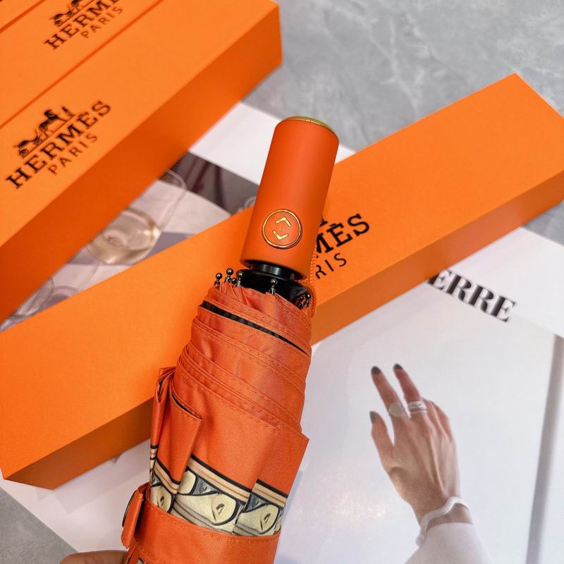 Hermes Umbrella (89)