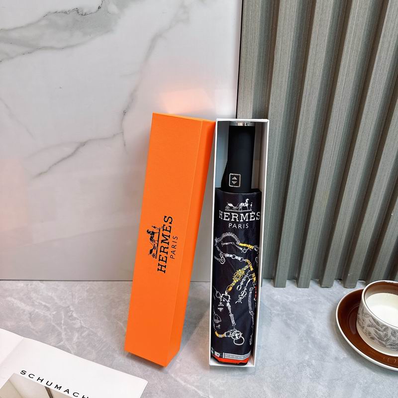 Hermes Umbrella (9)
