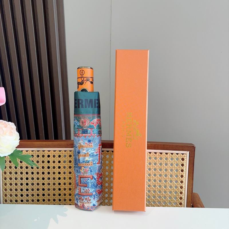 Hermes Umbrella (909)