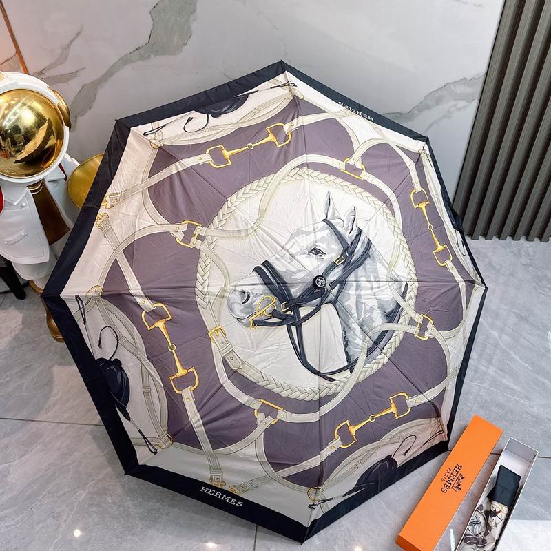Hermes Umbrella (91)