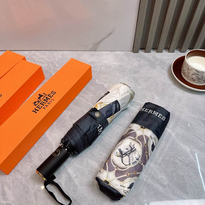 Hermes Umbrella (92)
