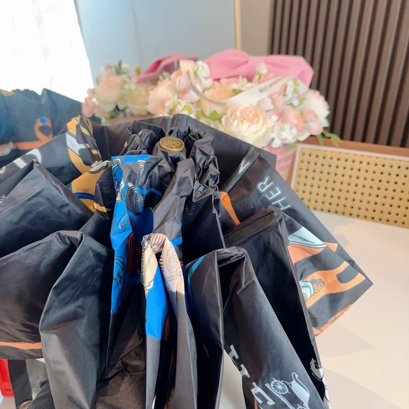 Hermes Umbrella (957)