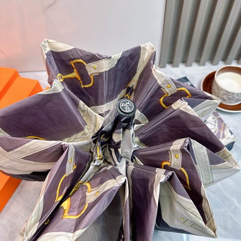 Hermes Umbrella (96)