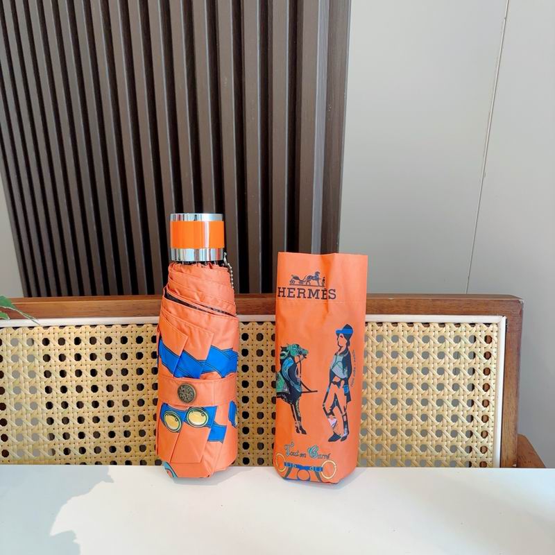 Hermes Umbrella (973)