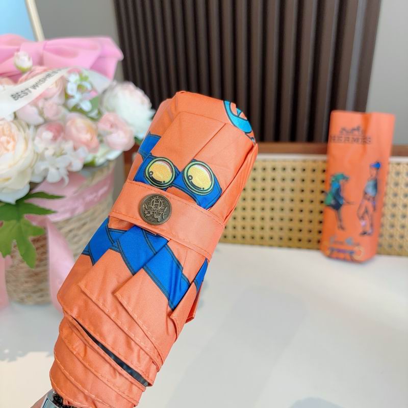 Hermes Umbrella (974)