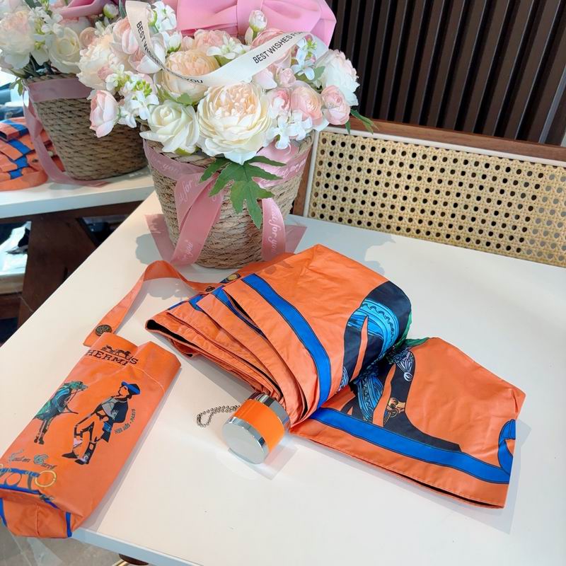 Hermes Umbrella (976)