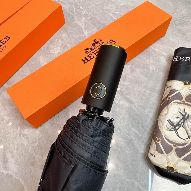 Hermes Umbrella (98)