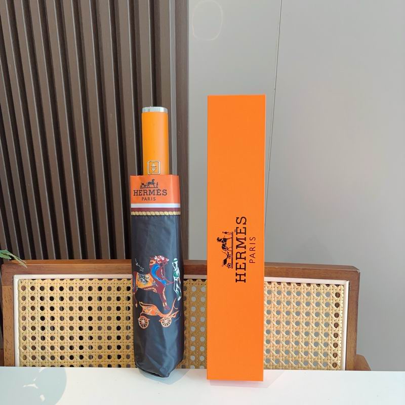 Hermes Umbrella (989)