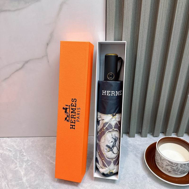 Hermes Umbrella (99)