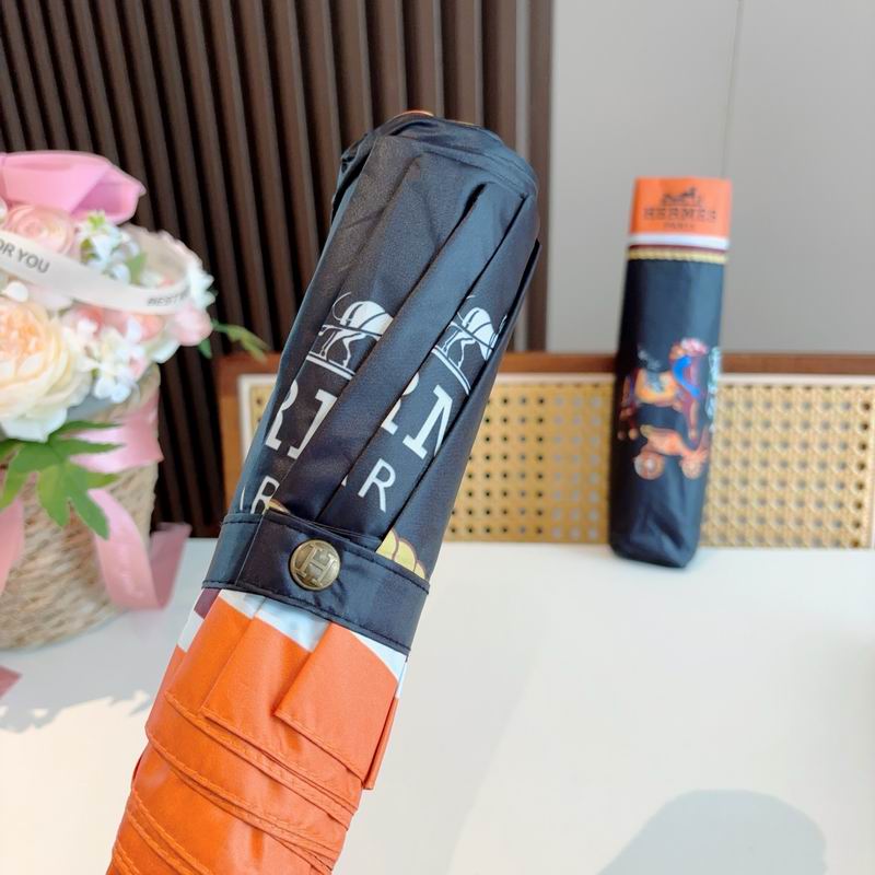 Hermes Umbrella (991)