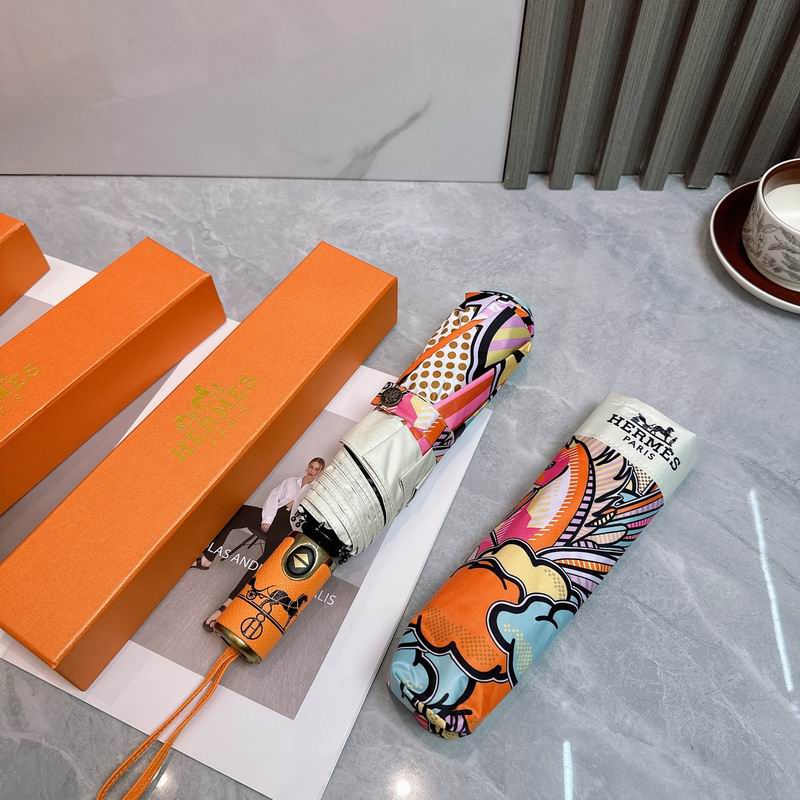 Hermes Umbrella E (31)