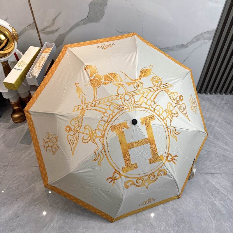 Hermes Umbrella hm (10)