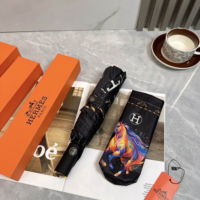 Hermes Umbrella hm (11)