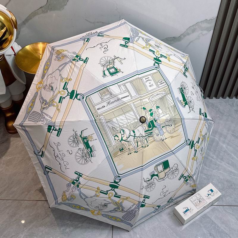 Hermes Umbrella hm (116)