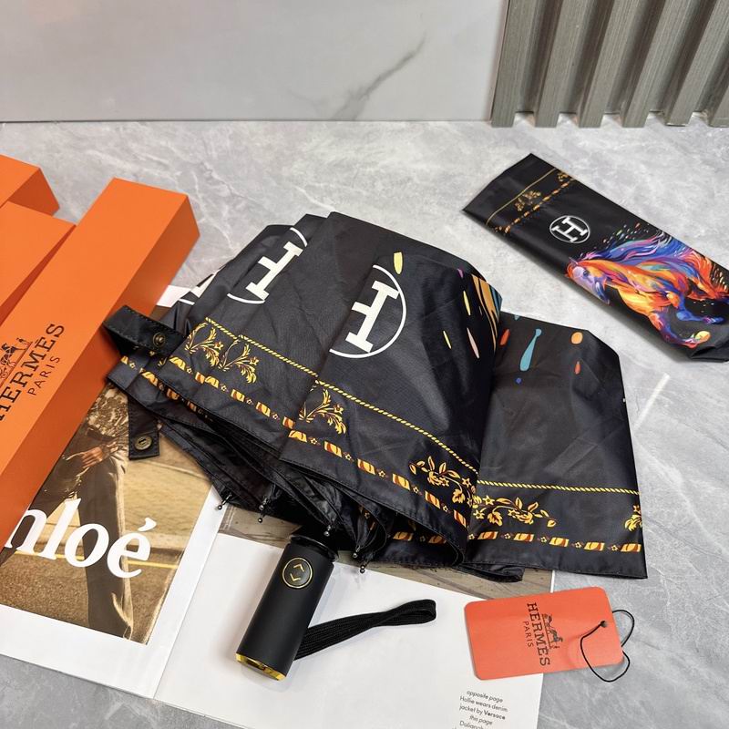 Hermes Umbrella hm (12)