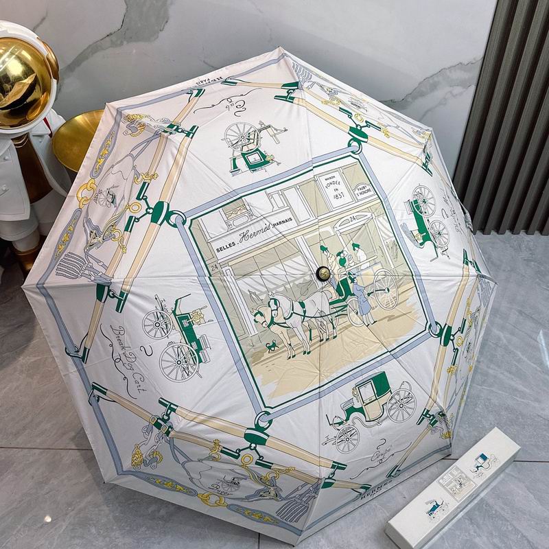 Hermes Umbrella hm (131)