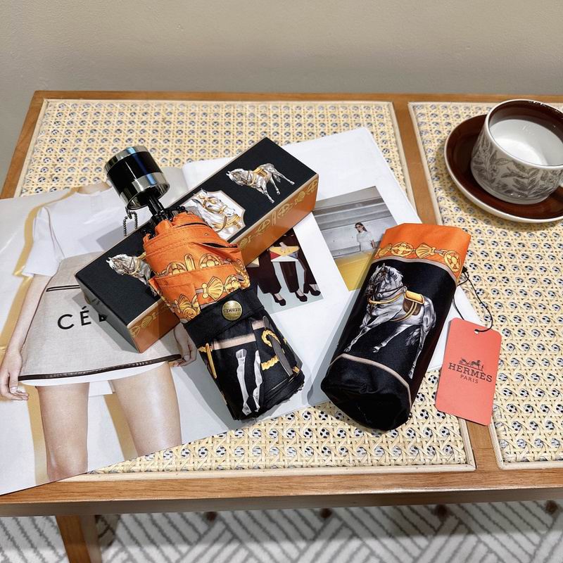 Hermes Umbrella hm (139)