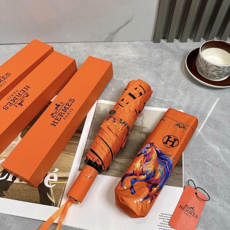 Hermes Umbrella hm (14)