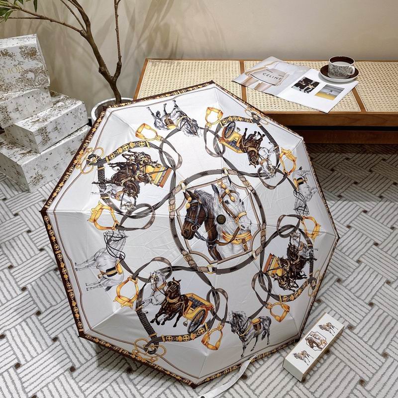 Hermes Umbrella hm (144)