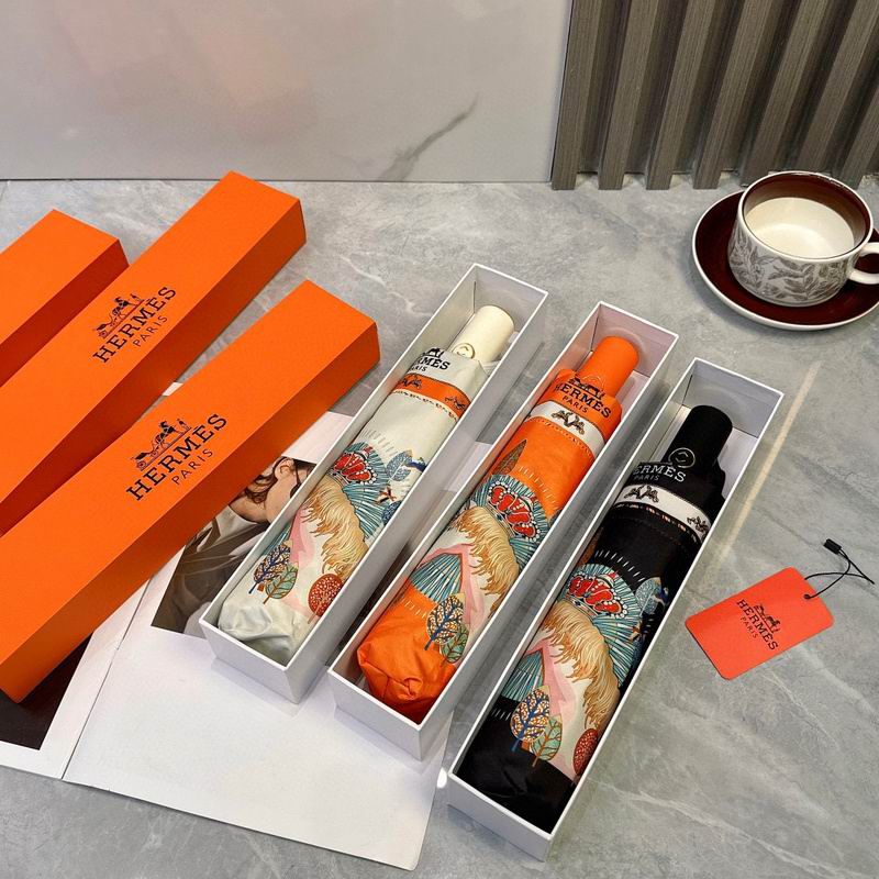 Hermes Umbrella hm (145)