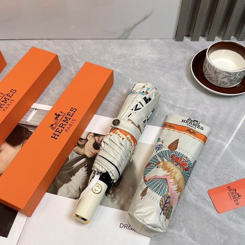 Hermes Umbrella hm (149)
