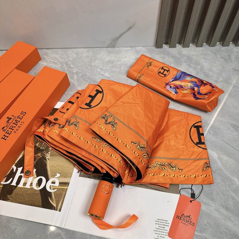 Hermes Umbrella hm (15)