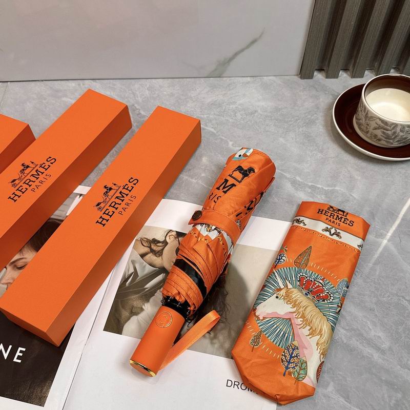 Hermes Umbrella hm (152)