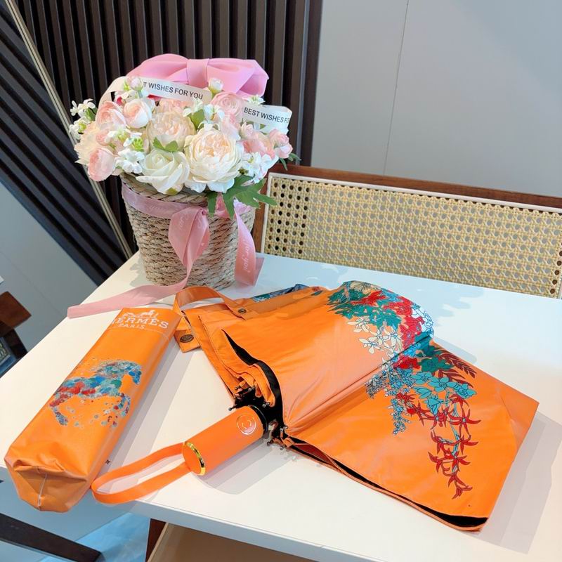 Hermes Umbrella hm (157)