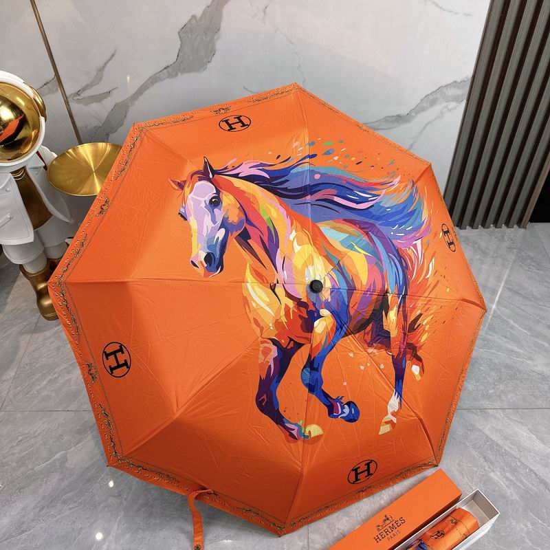 Hermes Umbrella hm (16)