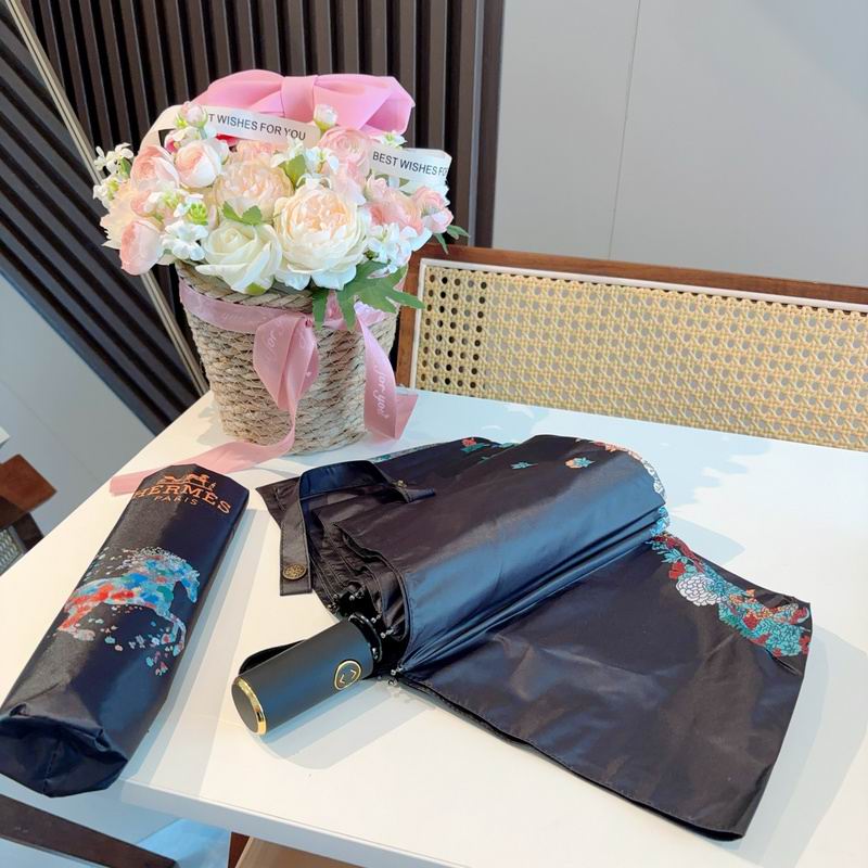 Hermes Umbrella hm (160)