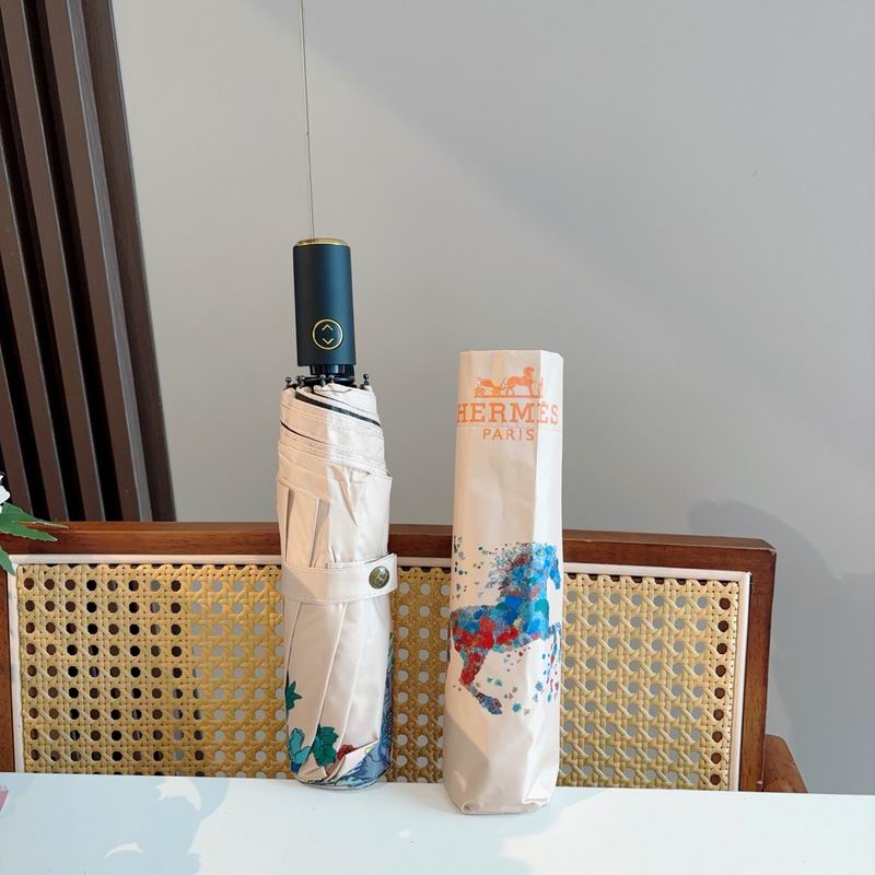 Hermes Umbrella hm (162)