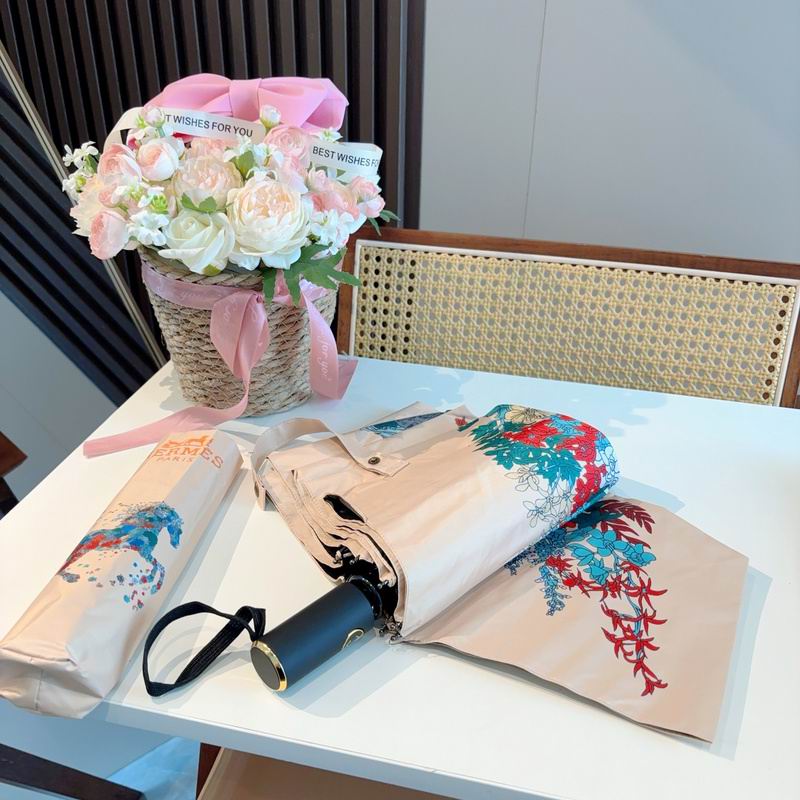 Hermes Umbrella hm (163)