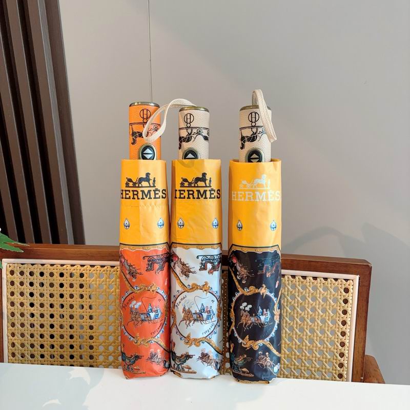 Hermes Umbrella hm (165)