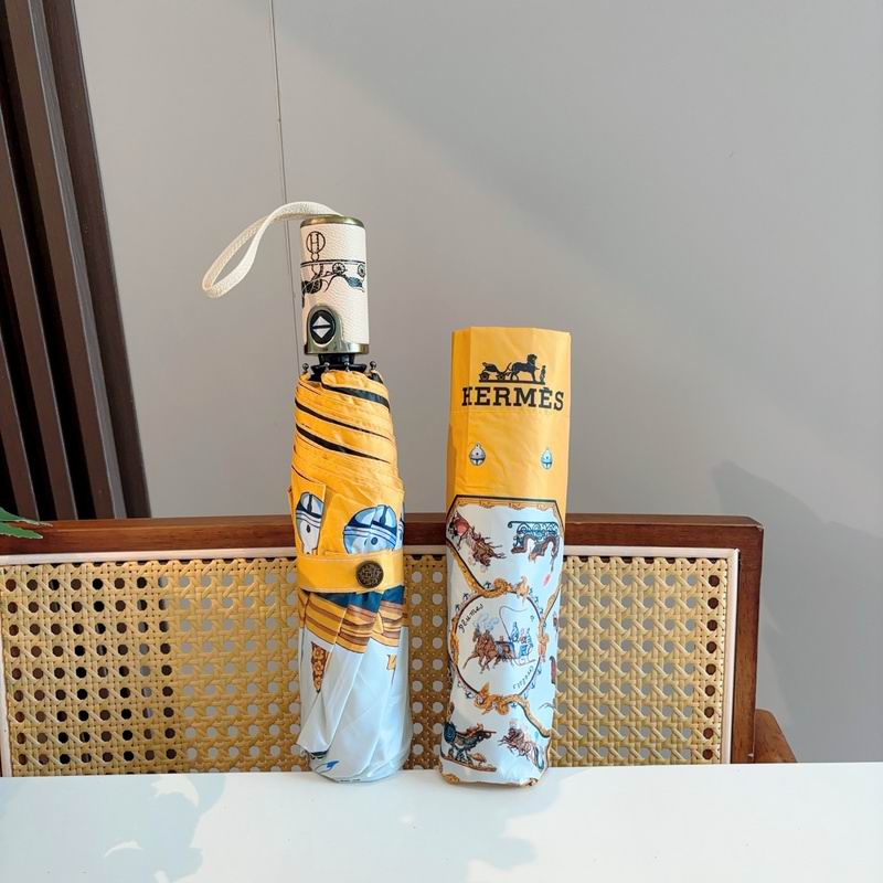 Hermes Umbrella hm (166)