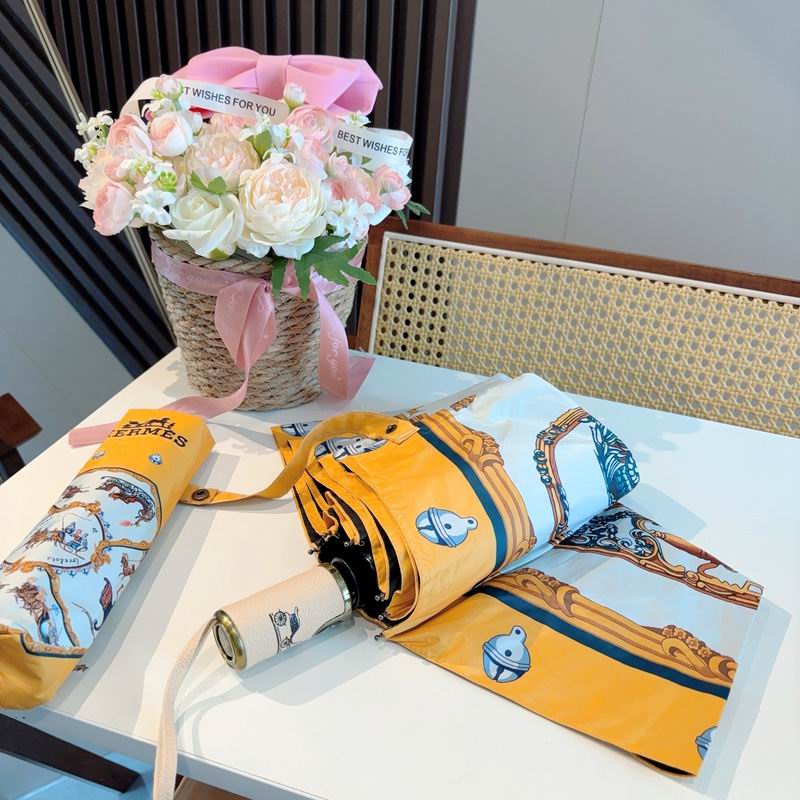 Hermes Umbrella hm (167)
