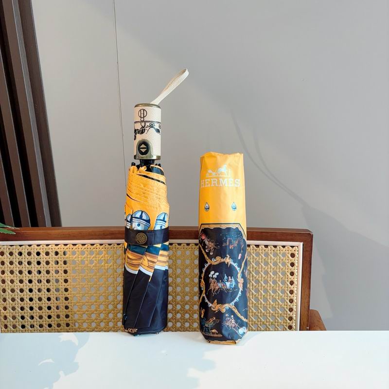 Hermes Umbrella hm (169)