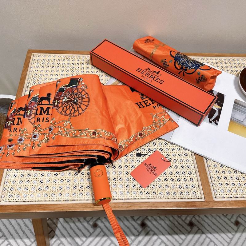 Hermes Umbrella hm (19)